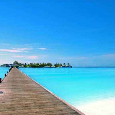 江南体育登录入口